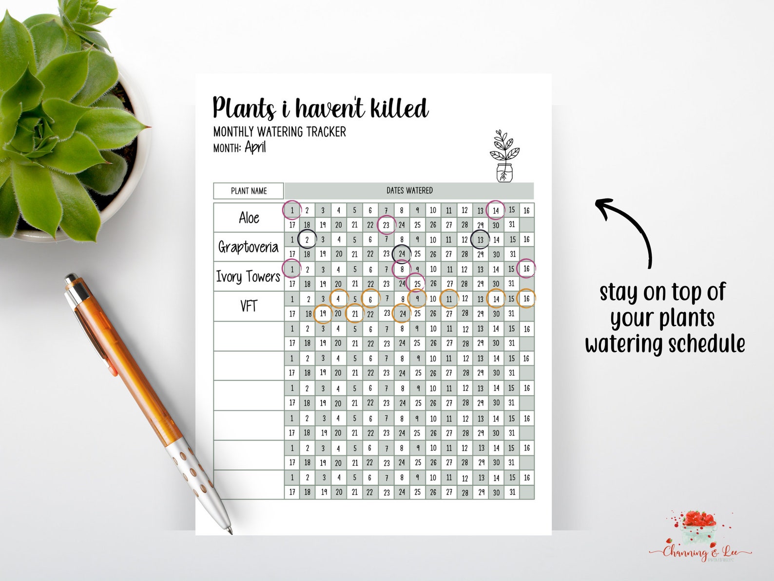 Plant Watering Tracker PRINTABLE Houseplant Care Log Etsy