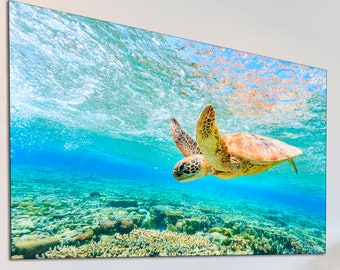 Sea Turtle Canvas Wall Art – Ocean Underwater Photography Print – Marine Life Coastal Decor for Beach House & Living Room