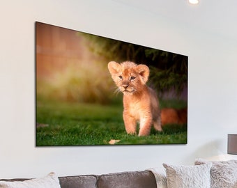 Lion cub canvas wall art Lion wall art Young Lion canvas art Africa animal wall art Lion large canvas Animal canvas Lion close-up photo