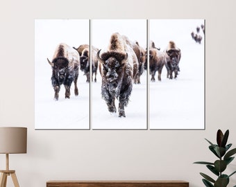 American buffalo canvas print Bison wall art Wildlife winter photo Farmhouse wall decor - Ready to hang