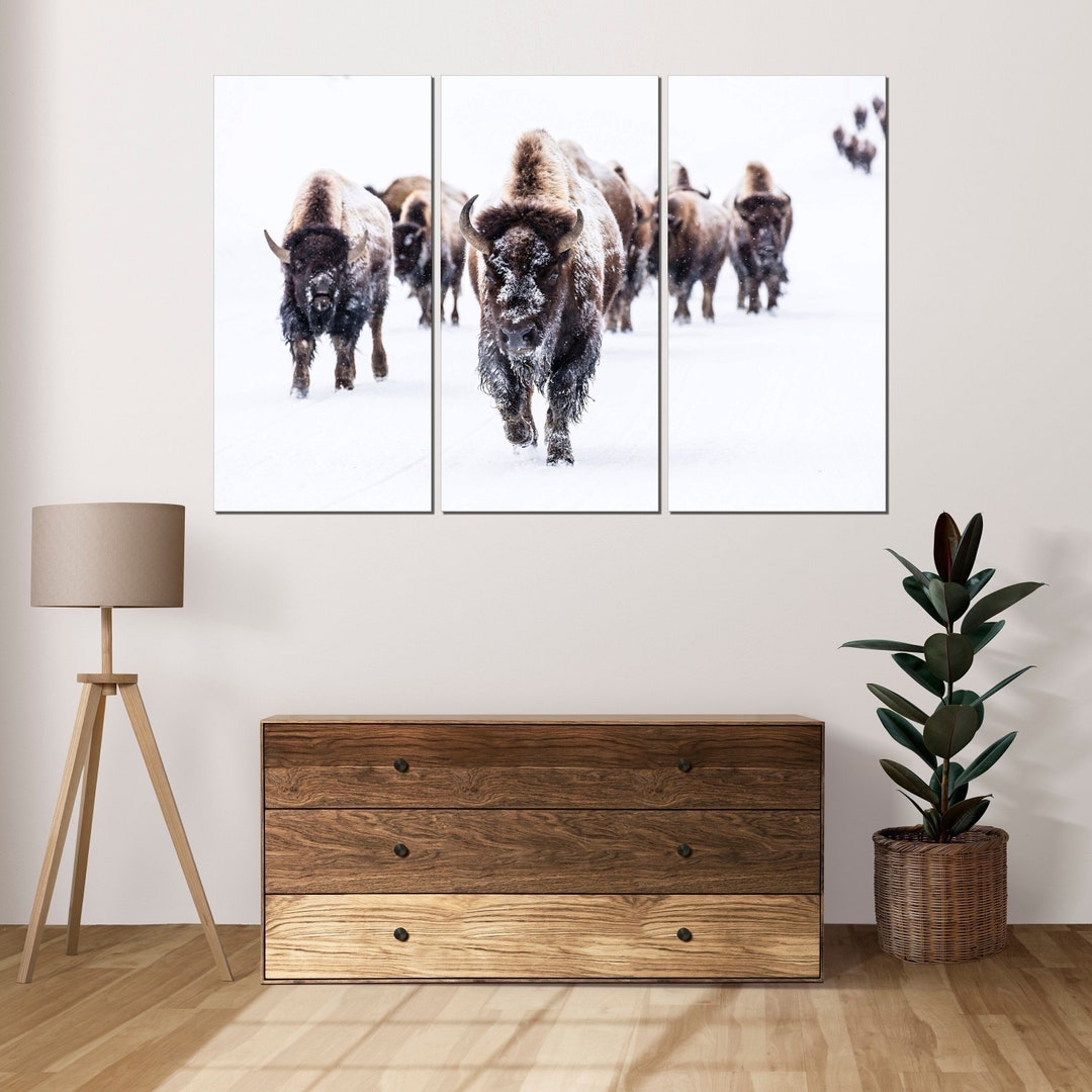 American Buffalo Canvas Print Bison Wall Art Wildlife Winter Photo ...
