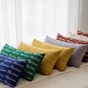 Custom Silk Pillow Case, !00 Percent Silk High Quality Custom Pillow Sleeve, 100 Percent Mulberry Silk Twill Bed Pillow Case, Any Color image 3