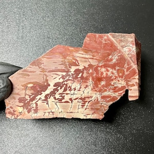 162g Scheibe des Roten Falken Jaspis, Scheibe des Roten Jaspis Lapis, Natürliche Jaspis Scheibe, Toten Kamel Jaspis, Toten Ringer Jaspis für die Cabochon