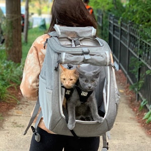 Cat backpack cheap shop