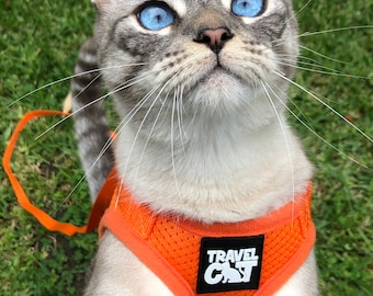 The True Adventurer" Reflective Cat & Kitten Harness and Leash Set for Adventure Cats