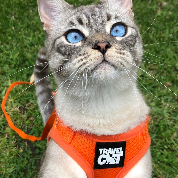 Cat Harness Etsy