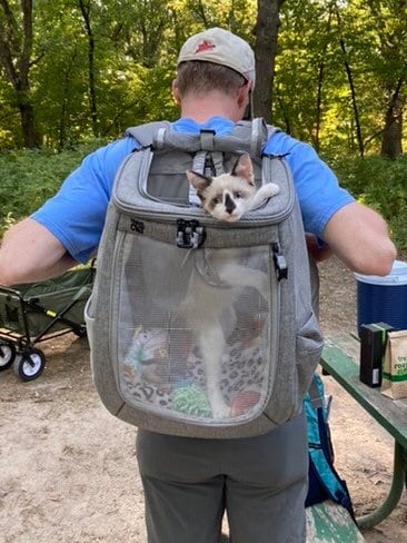 The Navigator Convertible Cat Backpack Pet Bag Outing, Breathable
