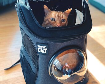 cat backpack for big cats