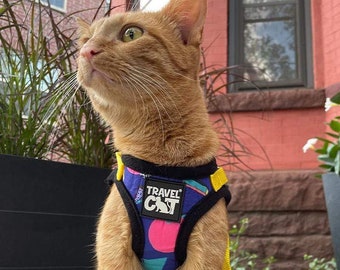 The '90s Cat" Limited-Edition Harness & Leash Set