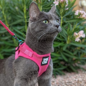 The Purrfectly Pink" Iridescent Limited-Edition Harness & Leash Set