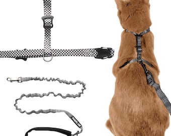 The Day Tripper - Perfect Adjustable H-Style Cat Harness & Bungee Leash Set - Checkered