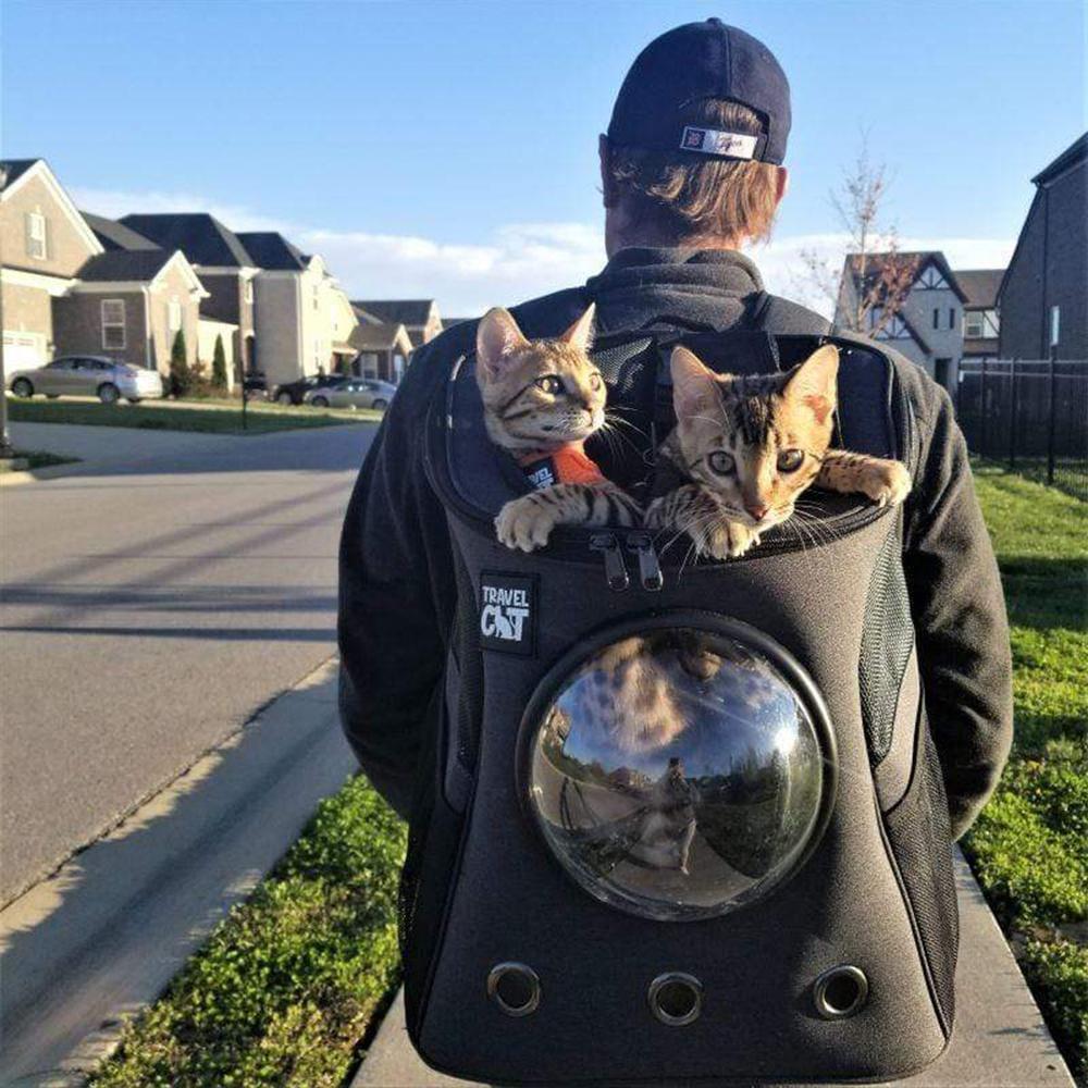 Large cat backpack discount