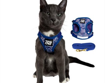 The Groovy Cat" Tie Dye Limited Edition Harness & Leash Set