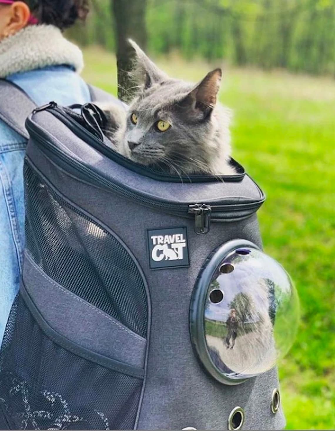The Fat Cat Backpack Backpack Pet Carrier Large Cat Etsy