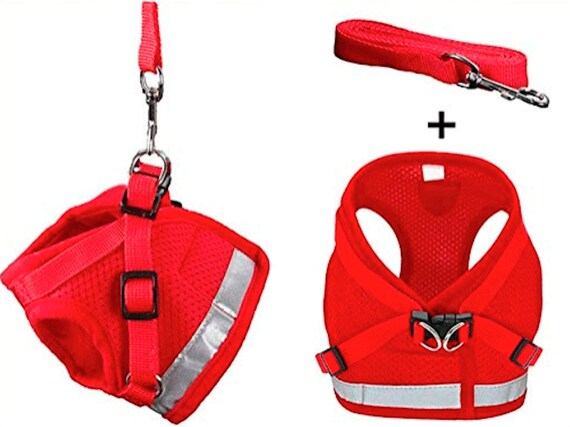 Cat travel harness sales