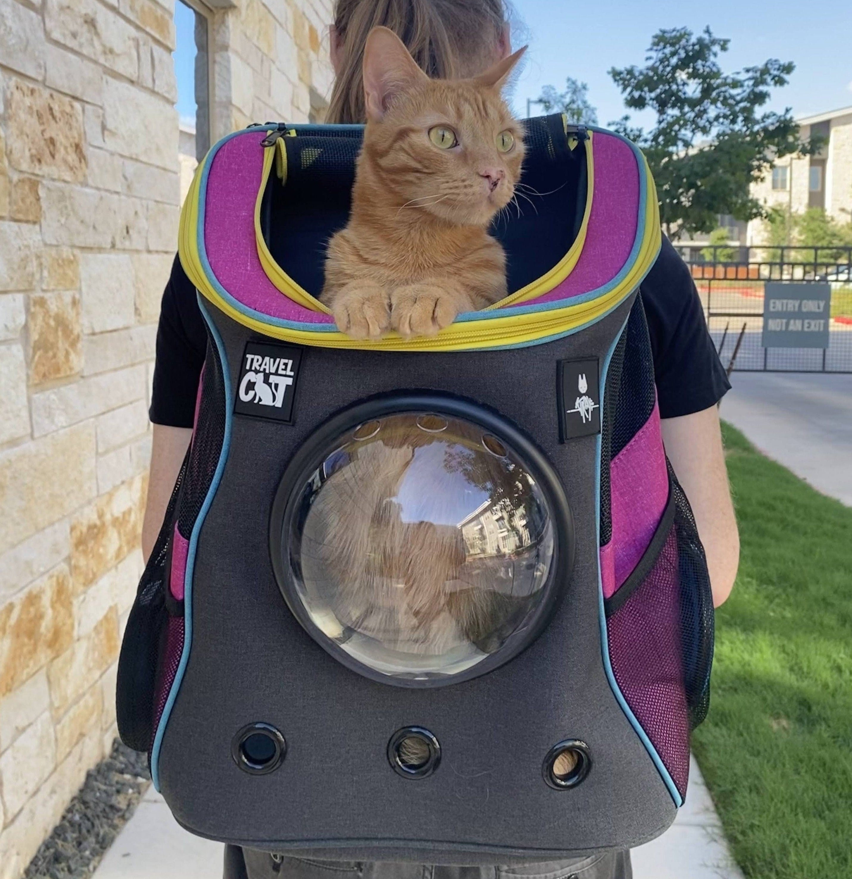 The Fat Cat Cat Backpack(For Larger Cats) - Bubble Pet Carrier Aqua