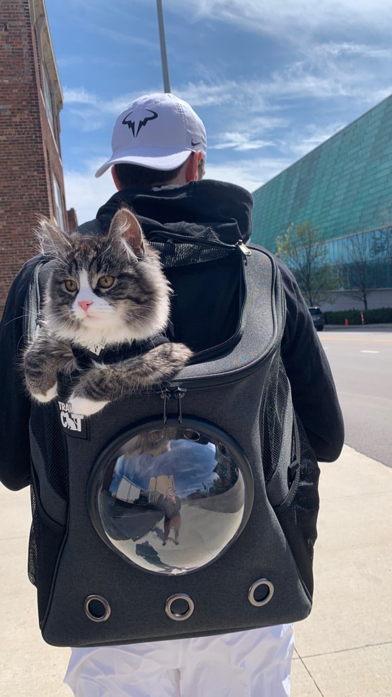 The Fat Cat Cat Backpack For Larger Cats image 7