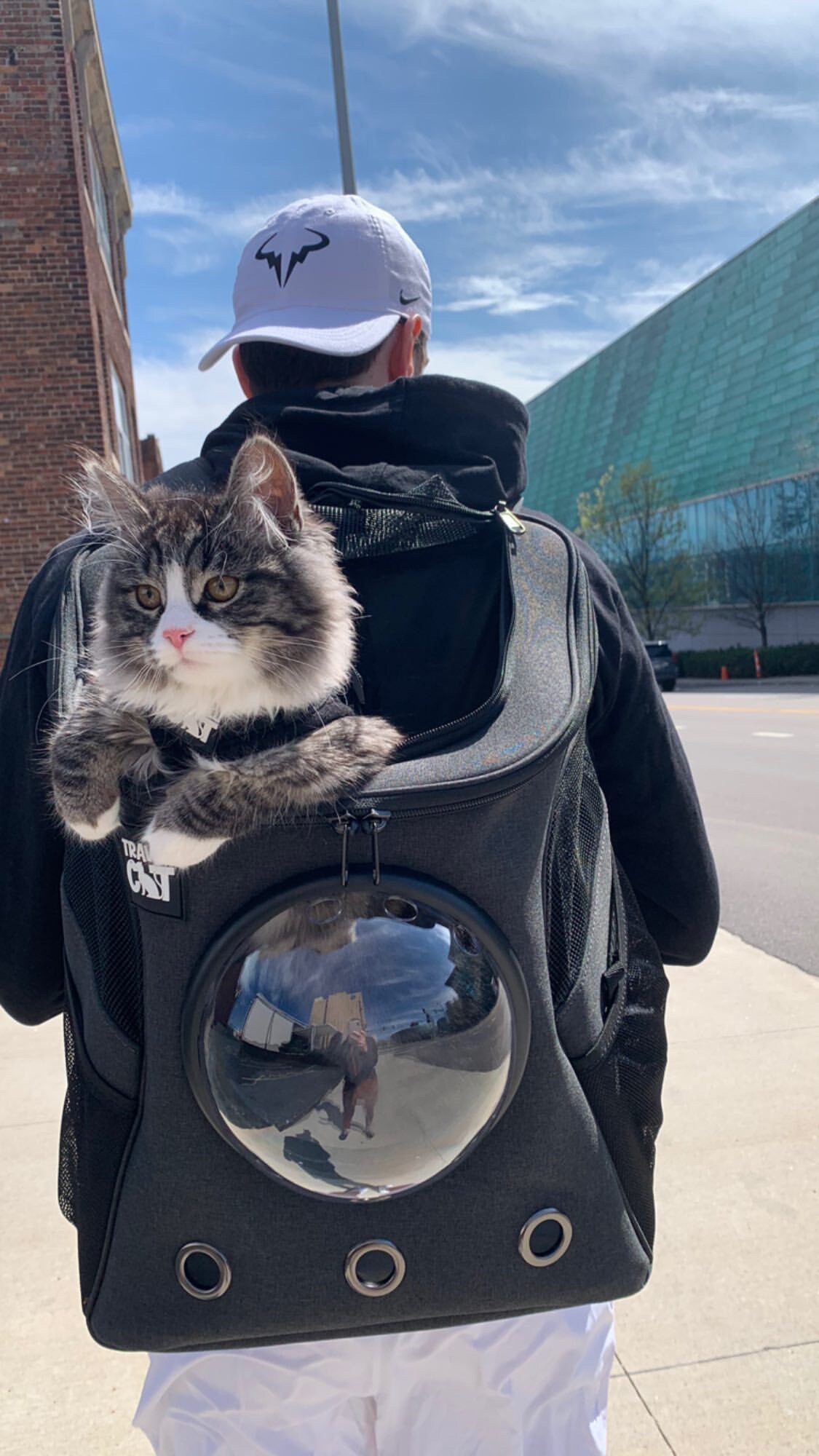 The Fat Cat Cat Backpack - for Larger Cats