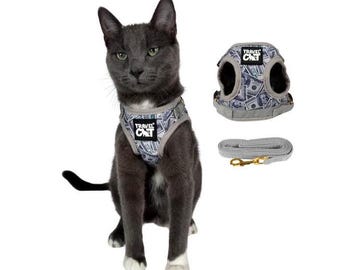 Cash Cat" Limited Edition Harness & Leash Set