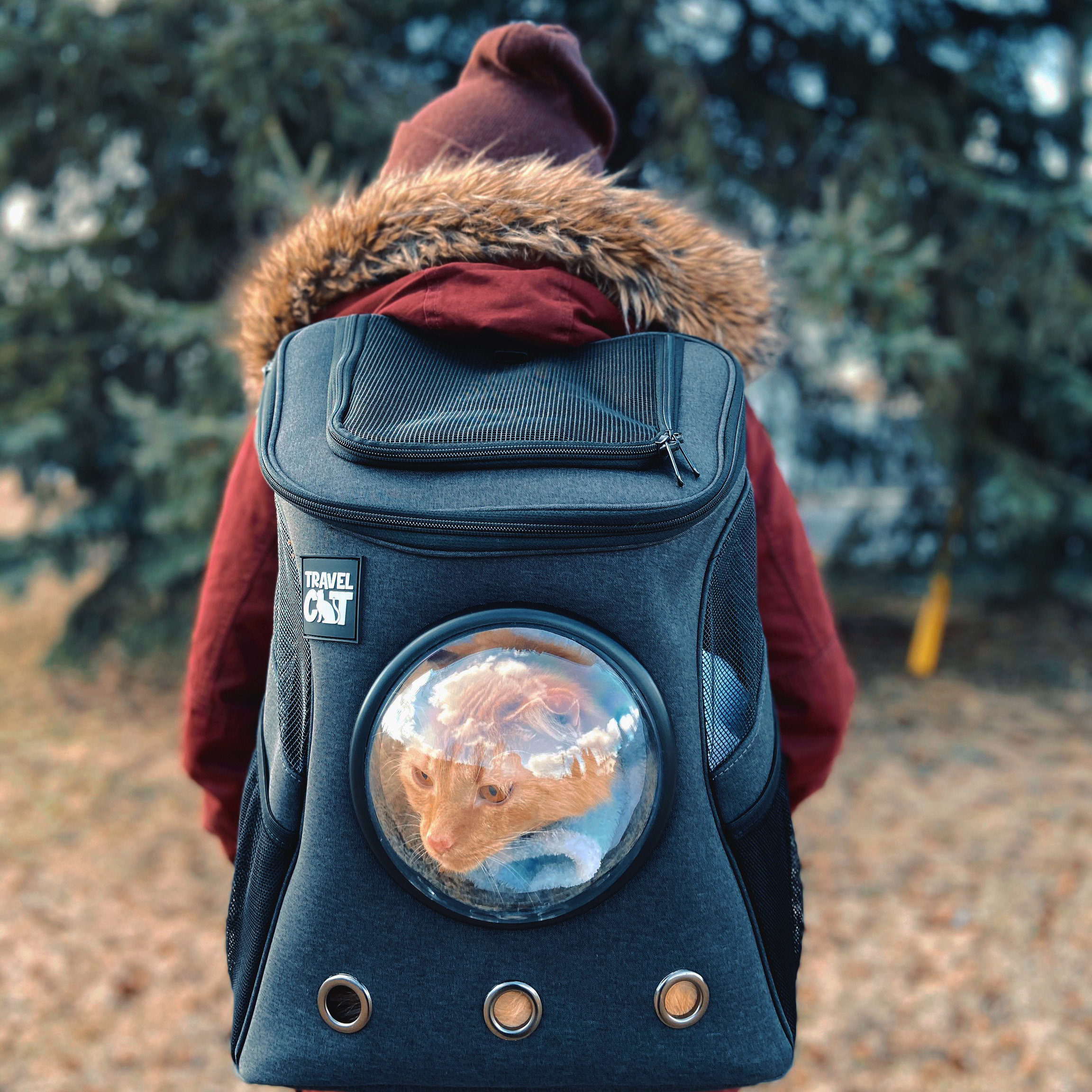 cat backpack