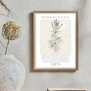 Chaste Tree Print, Botanical Illustration, Medicinal Herb Art
