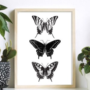 May include: A framed print featuring three black and white illustrations of butterflies. The butterflies are arranged vertically, with the largest butterfly at the top and the smallest butterfly at the bottom.