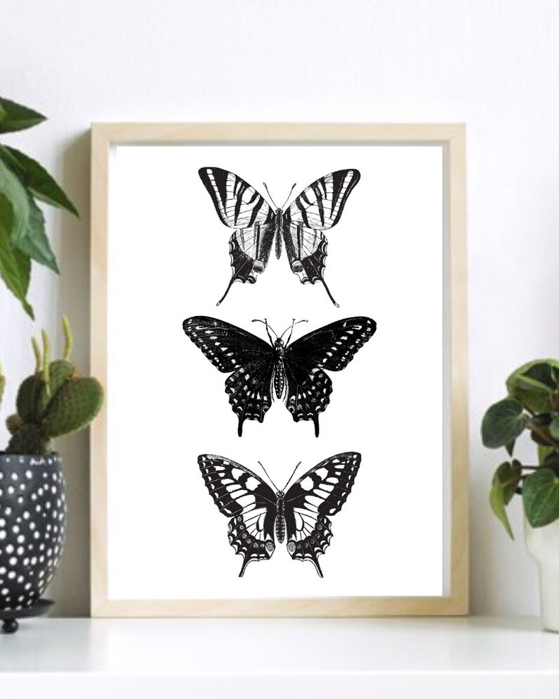 May include: A framed print featuring three black and white illustrations of butterflies. The butterflies are arranged vertically, with the largest butterfly at the top and the smallest butterfly at the bottom.