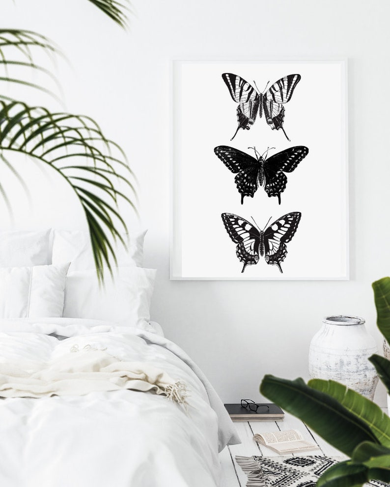 May include: A black and white framed print of three butterflies. The butterflies are arranged vertically, with the largest butterfly at the bottom and the smallest butterfly at the top. The butterflies are all in flight, with their wings spread out.