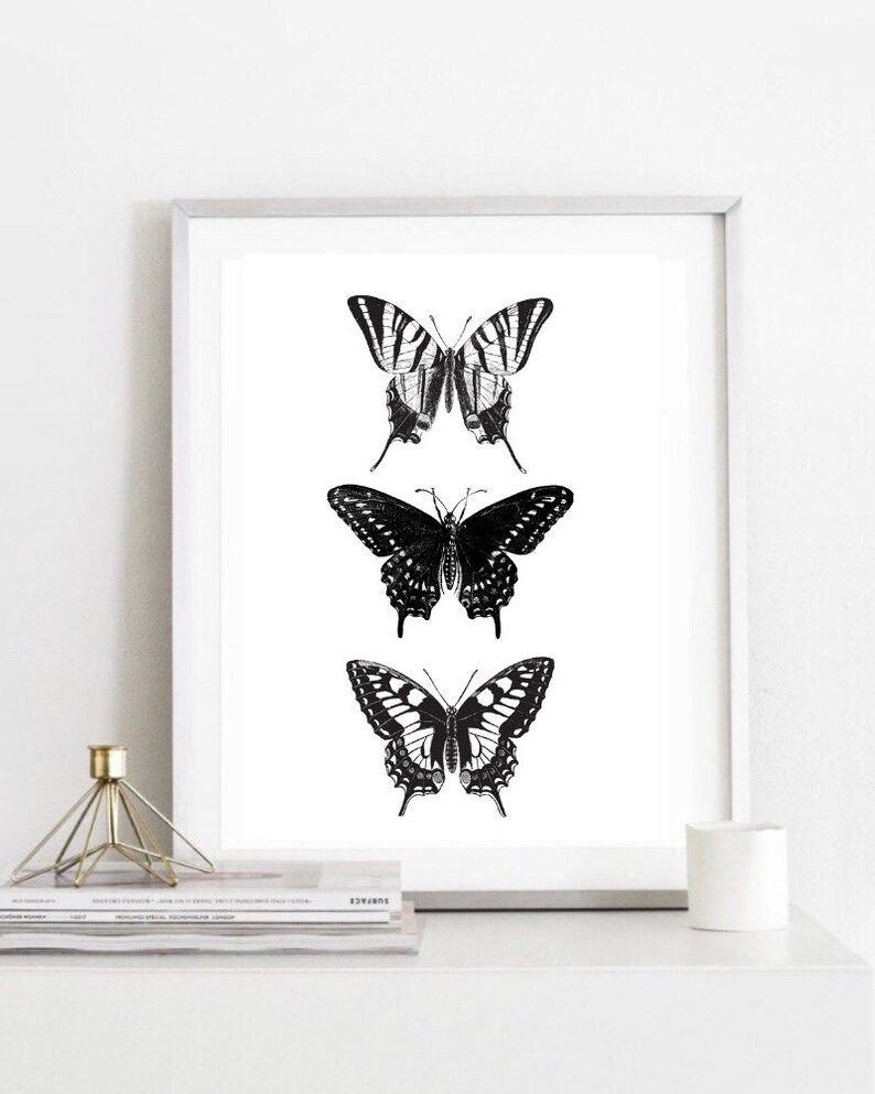 May include: A framed black and white print of three butterflies. The butterflies are arranged vertically, with the largest butterfly at the top and the smallest butterfly at the bottom. The butterflies are all in flight, with their wings spread wide.