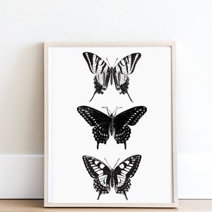 May include: A framed print featuring three black and white butterfly illustrations. The butterflies are arranged vertically, with the largest butterfly at the top and the smallest butterfly at the bottom.