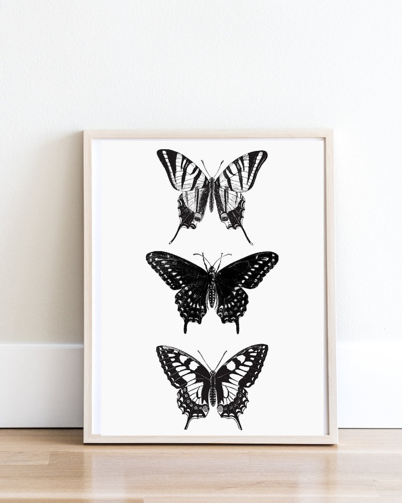 May include: A framed print featuring three black and white butterfly illustrations. The butterflies are arranged vertically, with the largest butterfly at the top and the smallest butterfly at the bottom.
