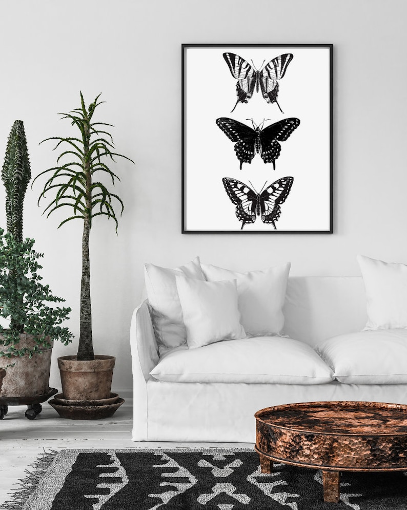 May include: Black and white framed print of three butterflies with a white background. The butterflies are arranged vertically, with the largest butterfly at the bottom and the smallest butterfly at the top.