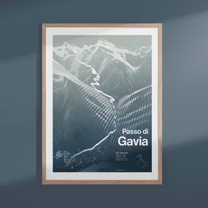 Affiche de l'ascension du Passo di Gavia
