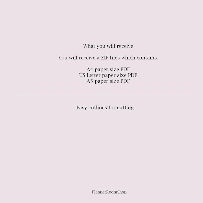 Printable budget planner, A5 inserts, Budget binder, Expense planner, Income tracker, Bills tracker, Digital finance planner, 066 image 8