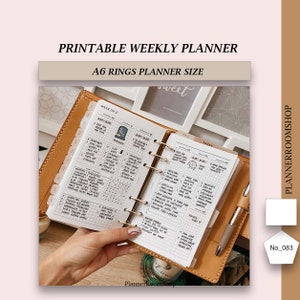 May include: A6 size weekly planner with a brown leather cover and gold rings. The planner is open to a weekly spread with a black and white illustration of a tombstone. The planner also includes a daily spread with a black and white illustration of a cloud with rain.