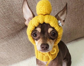 dog hats for cold weather