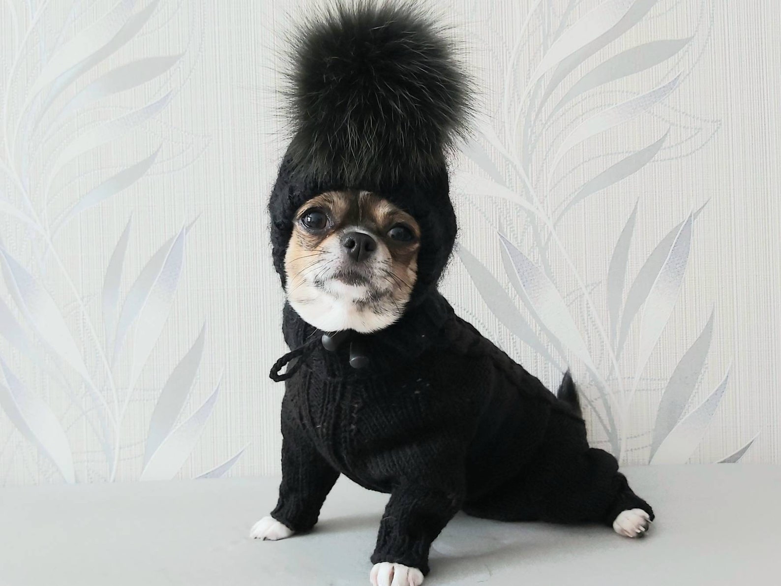 Dog clothes boy Dog sweater and dog hat for chihuahua or Etsy