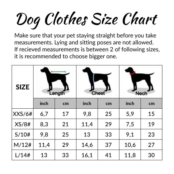dog jacket measurements