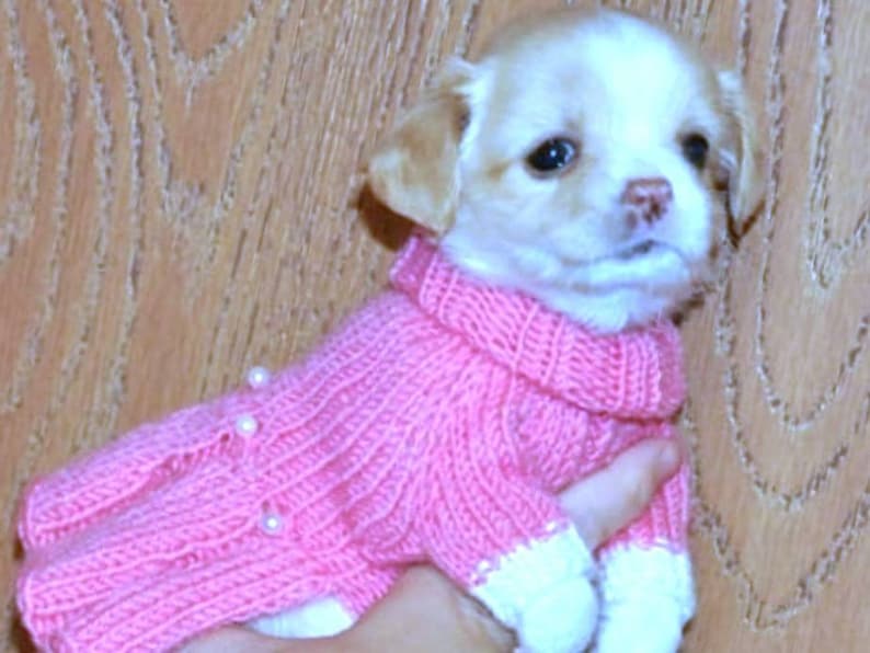 XXS dog clothes XXS Dog dress for puppies Dog clothes for Etsy