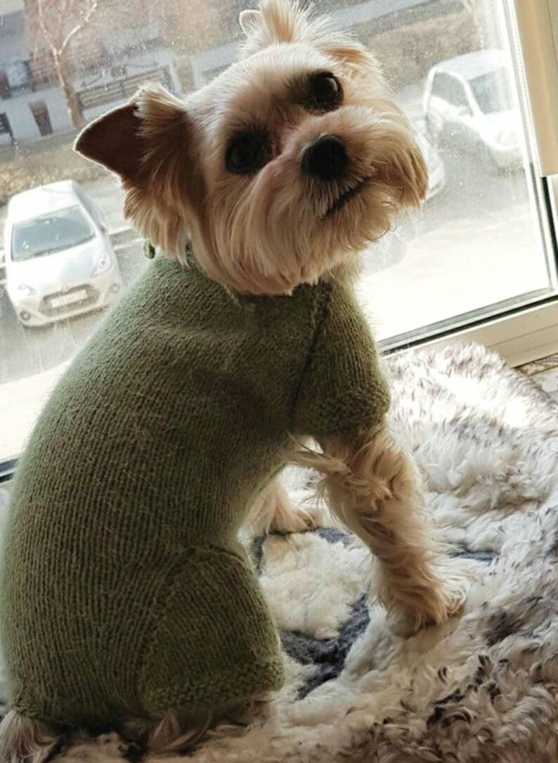 Dog clothes for yorkie or any small dogboy Dog sweater for Etsy