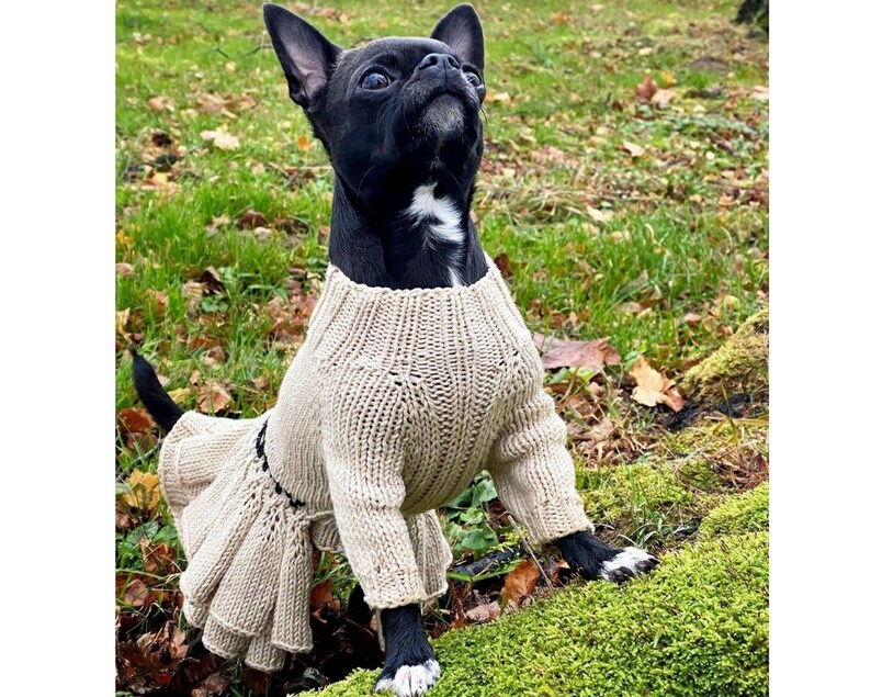 Dog clothes small Dog dress for dogs from cotton XXS dog Etsy