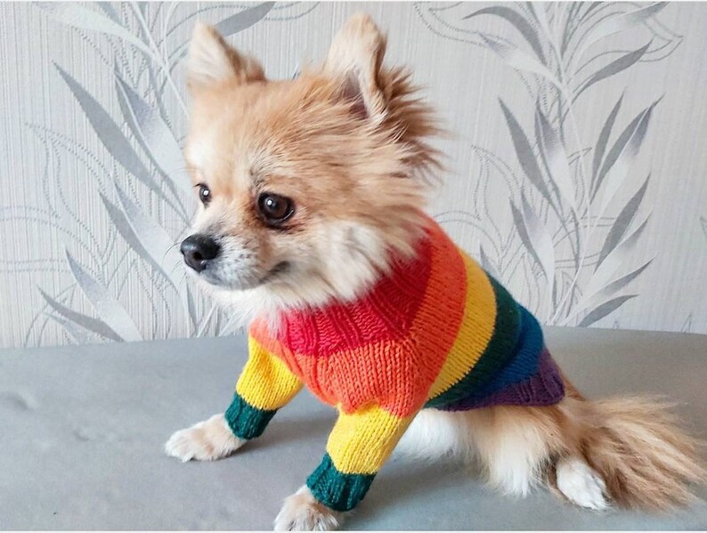 Small Dog Clothes Gay Pride Dog Sweater Rainbow Dog Etsy