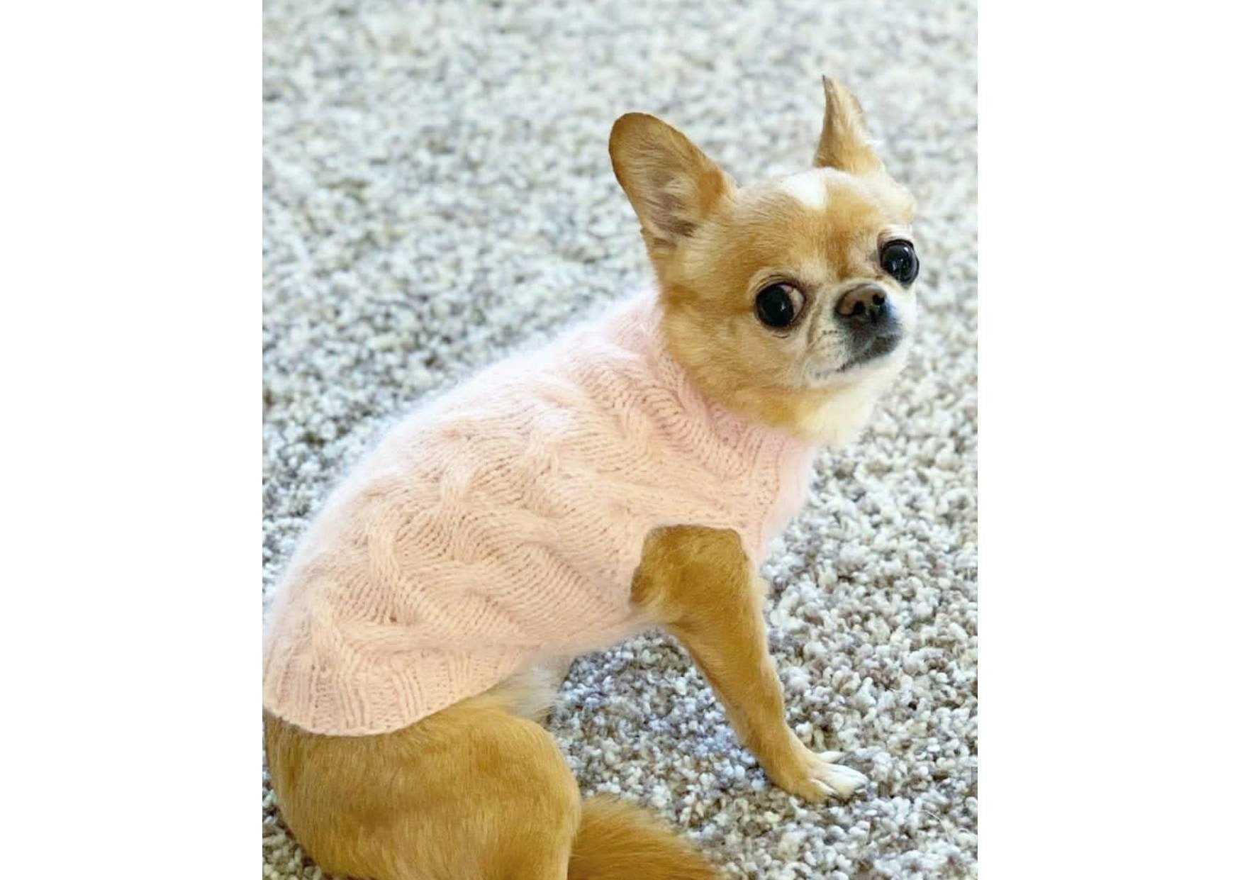 Dog sweater for chihuahua or other small dogs Dog clothes for Etsy