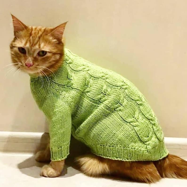 Cat sweater Warm green cat sweater woolen yarn for walking or Etsy