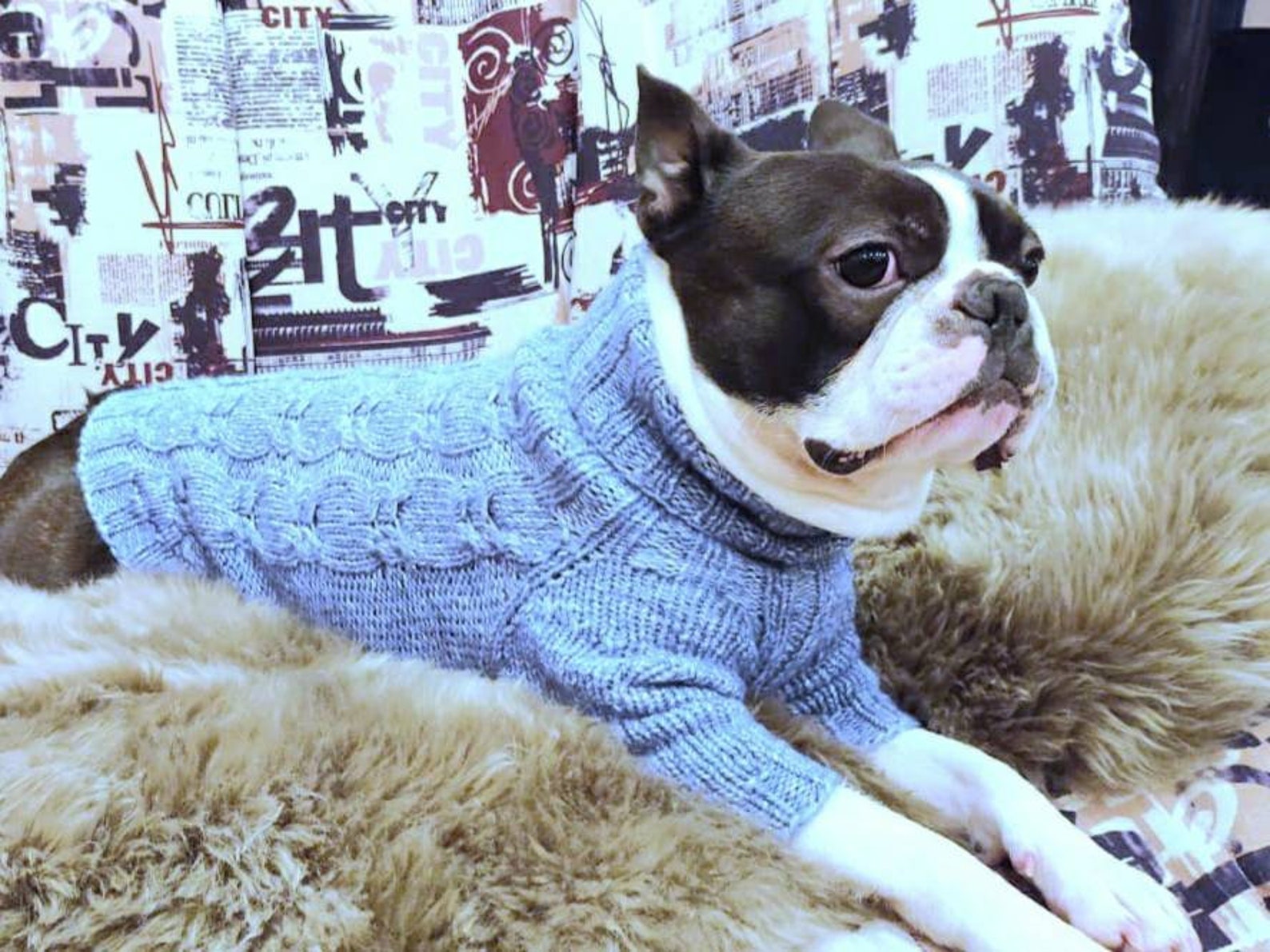 Kleine Hundebekleidung Hundepullover für kleine Hunde Etsy