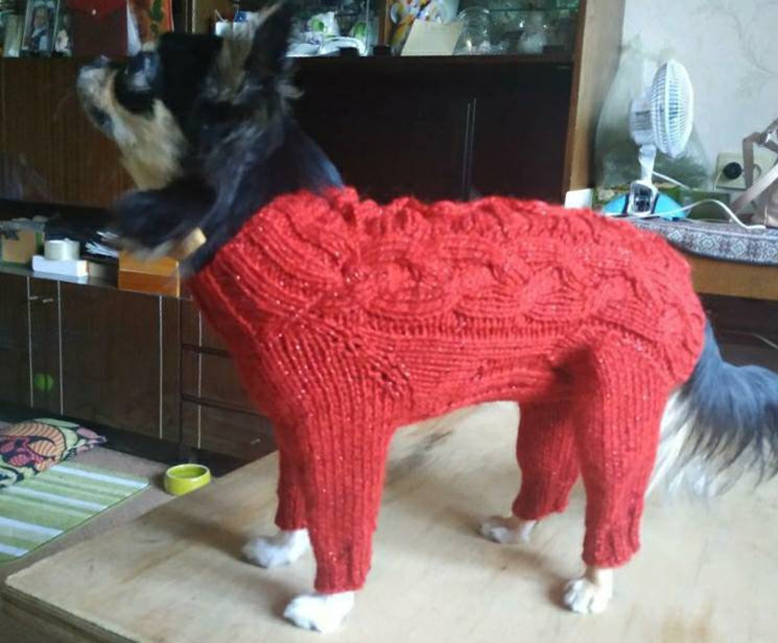 Dog Sweater for a Small Doggirl Dog Sweater Girl Small Etsy