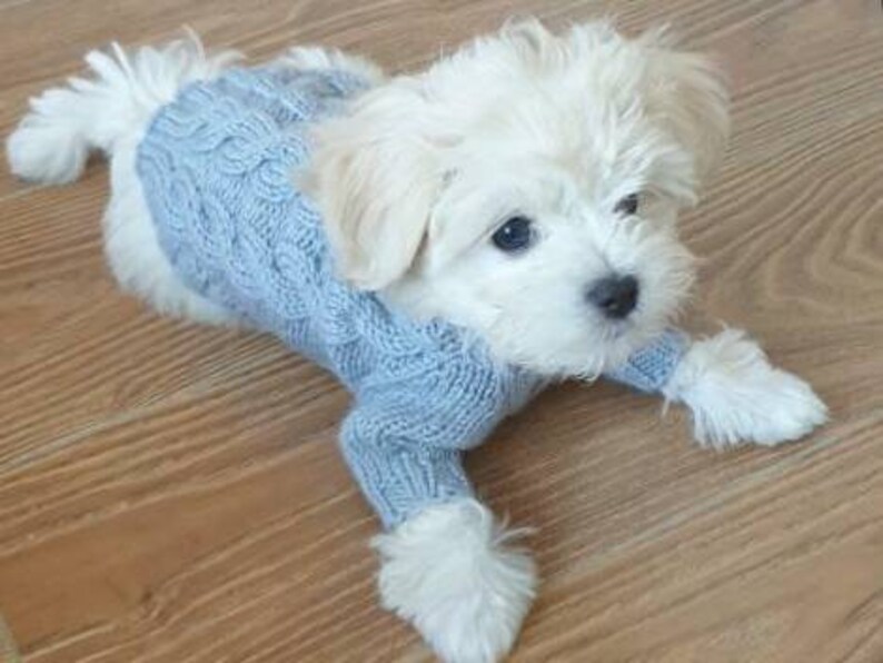 XXS Hundebekleidung für kleine Hunde kleine Hundepullover für Etsy
