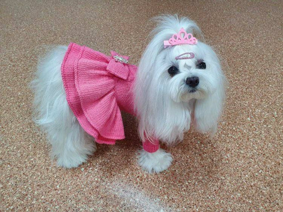 Dog pink dress for a maltese or another small dog made of Etsy