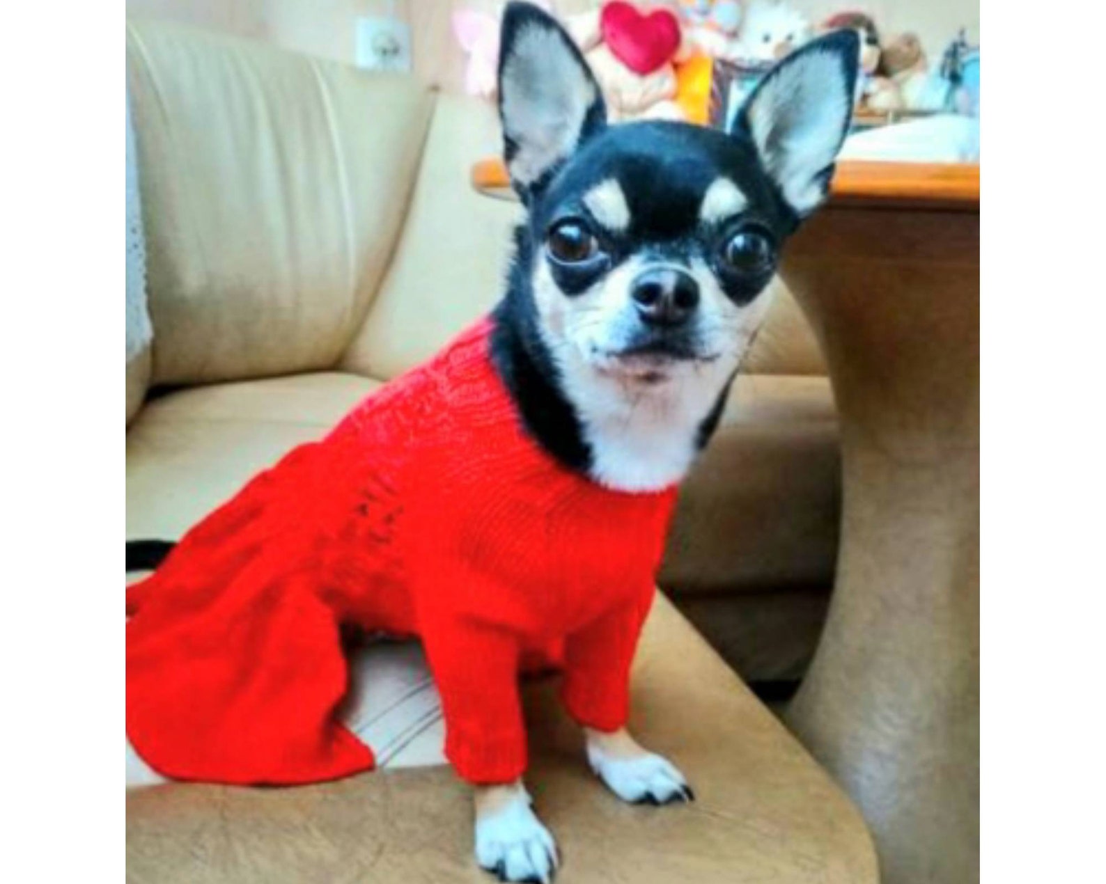 Dog dress for a chihuahua or another small dog made of red Etsy