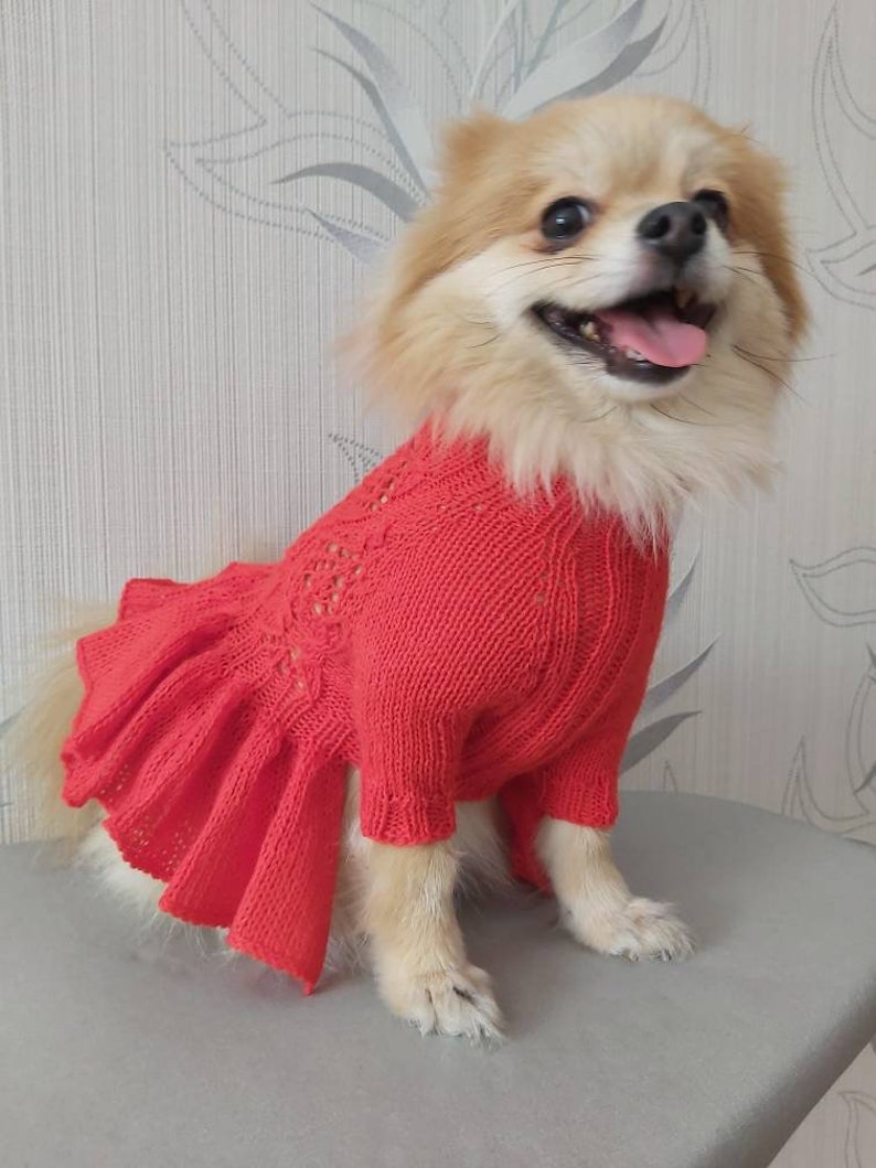 Robe de chien pour un chihuahua ou un autre petit chien fait Etsy